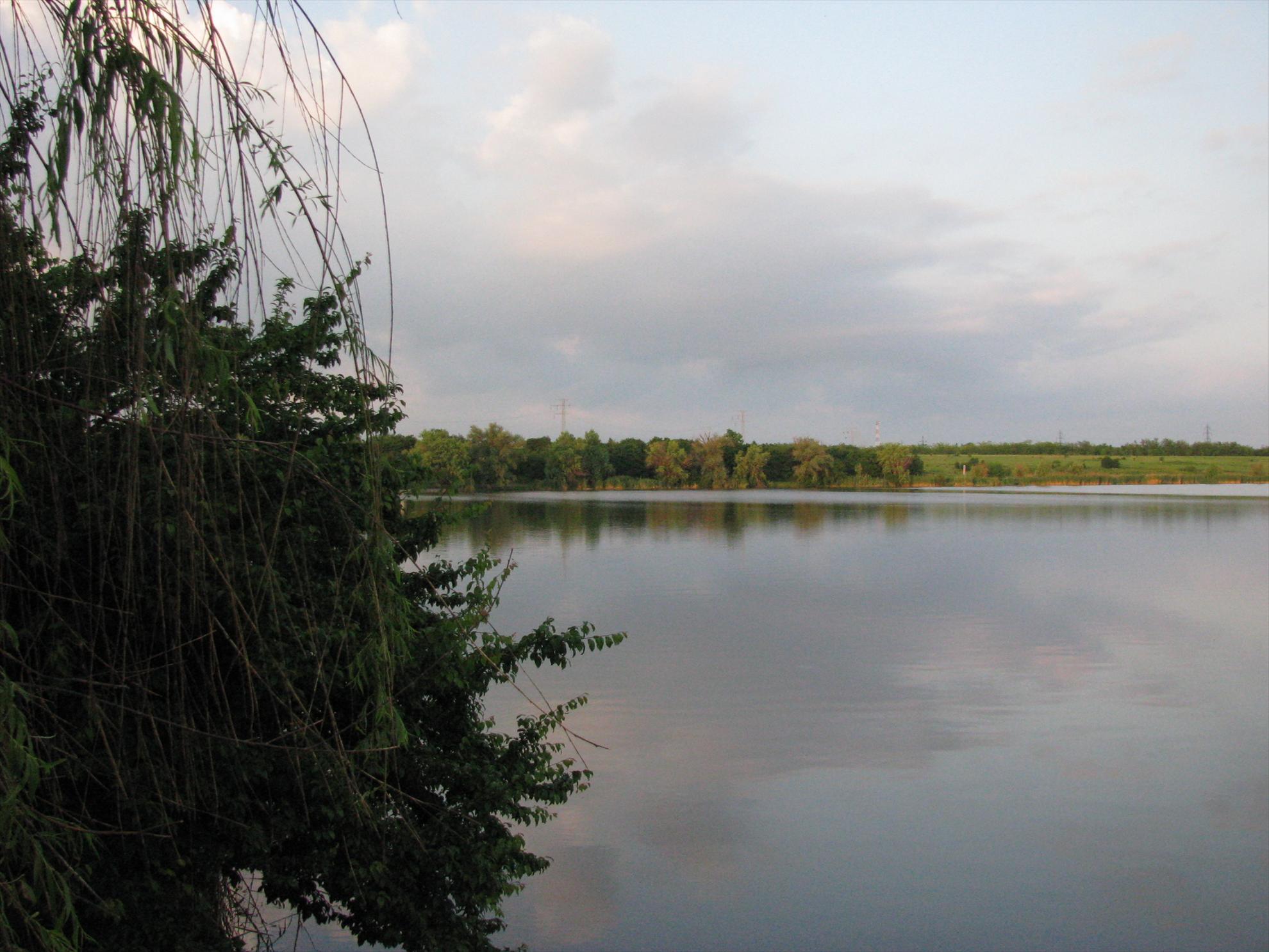 Poze 19-21.05.2012 Tancabesti Avicola 2 - img0174.JPG